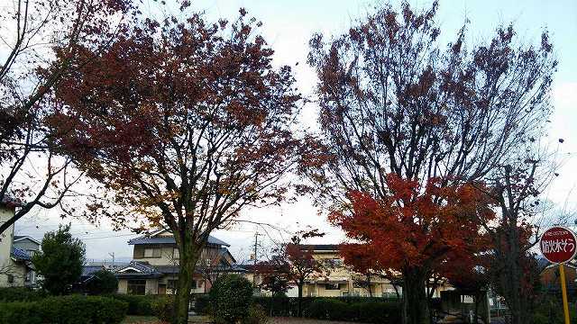 1d881bd13e6f2b6d21d58cbcb82015f8