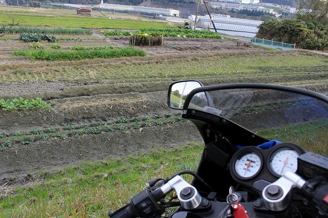 685ced034fe77fdabdc10928b59ee6be